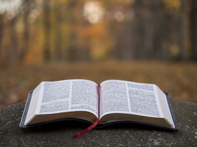 Biblia